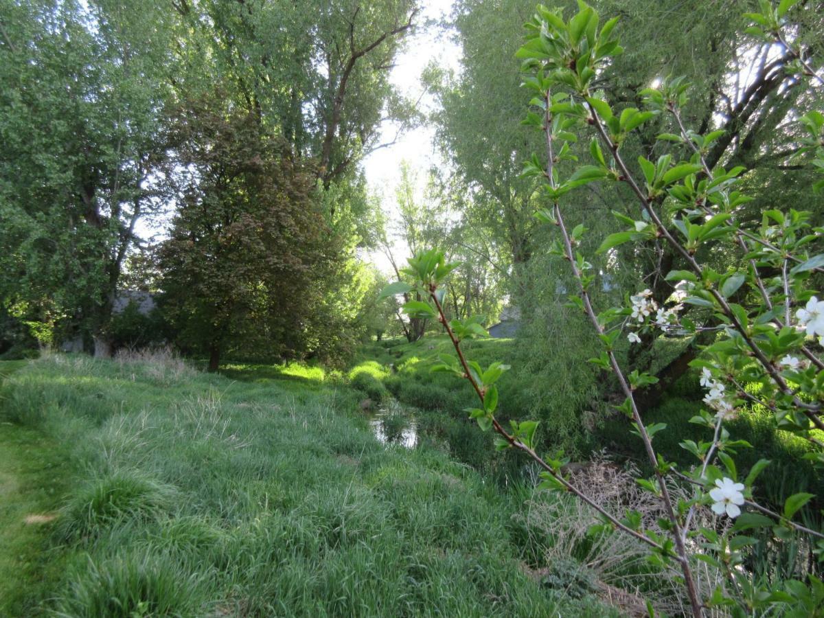Hotel The Willows *