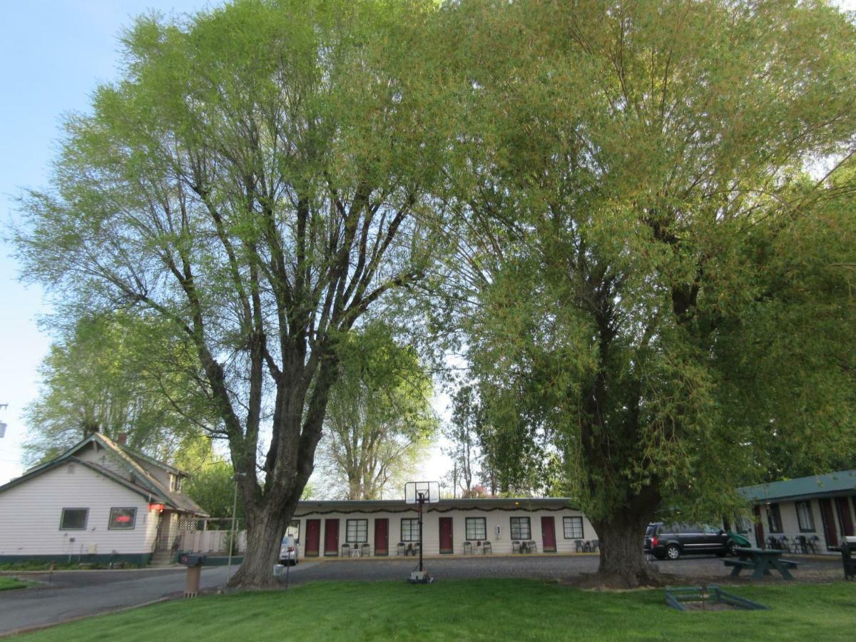 The Willows Hotel Wilbur